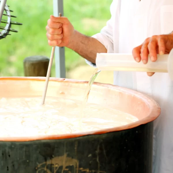caglio-e-produzione-di-formaggi-orig