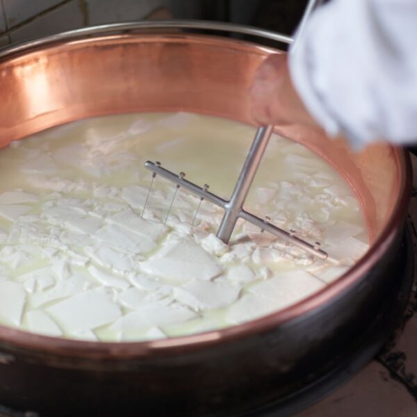 Farmer Mixing Curd Cheese Forming in Bowl When Heating Milk. Caglio Colombo - Oltre 120 anni di esperienza al servizio della produzione casearia