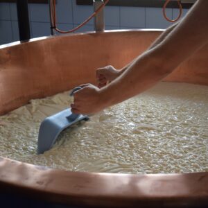 Fermenti lattici