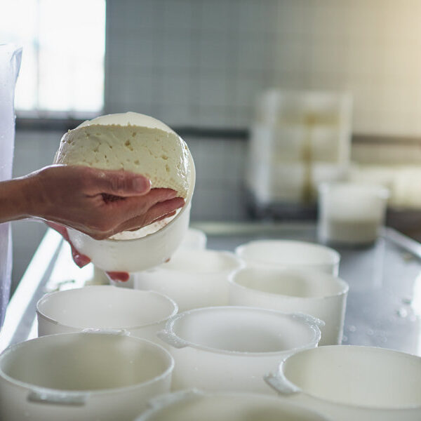 Il caglio giusto per il tuo formaggio